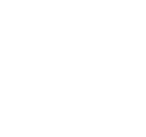 icon1pc